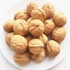 new crop xinjiang shell halves Walnut kernel light halves prices inshell