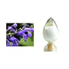100% Natural Clary Sage Extract 5:1 10:1 20:1