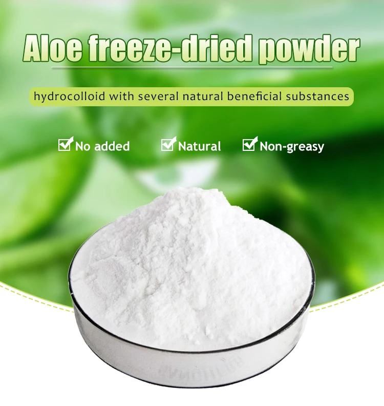 Amulyn Organic 100 Pure Extract Aloe Vera Gel Freeze Dried Powder Buy Aloe Vera Freeze Dried 2678
