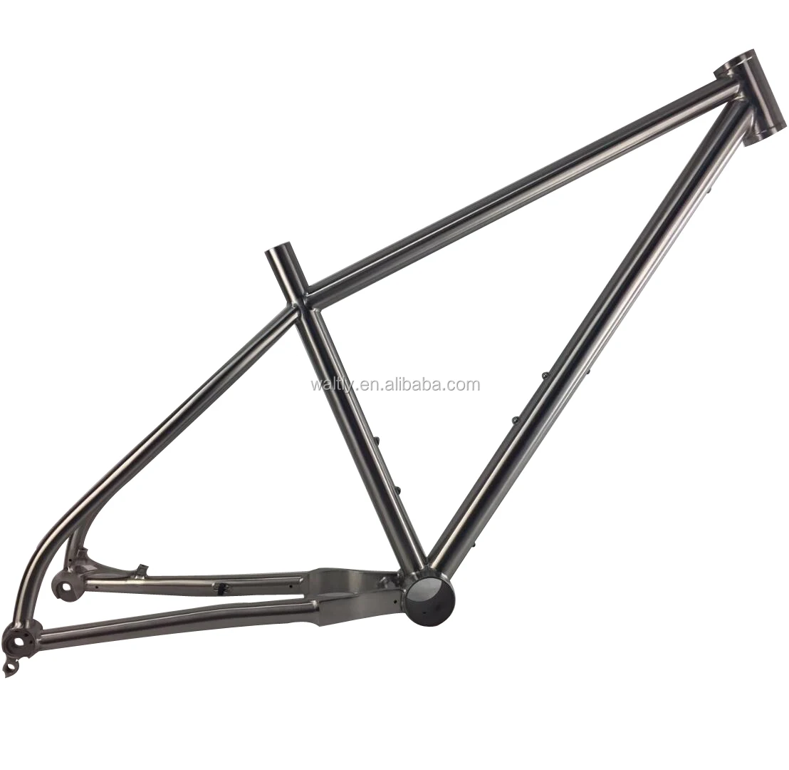 titanium 29er frame