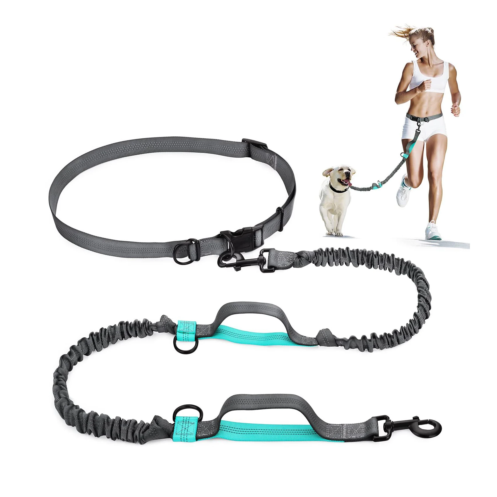 Retractable Hands Free Adjustable Dog Leash With Dual Bungees Waist
