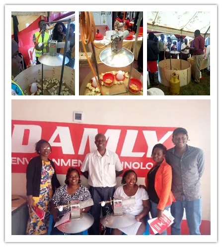 damly poultry gas brooder7.jpg