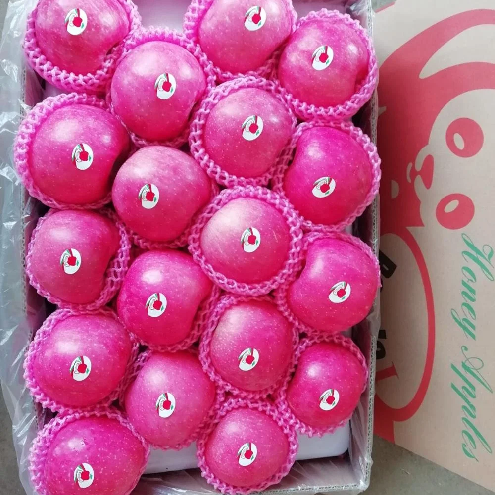 
China Fuji Apple New Season 