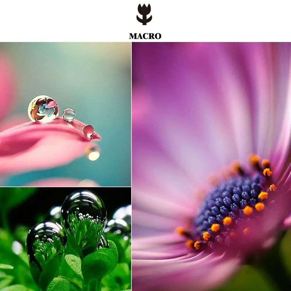 3 in 1 fisheye lens -9.jpg