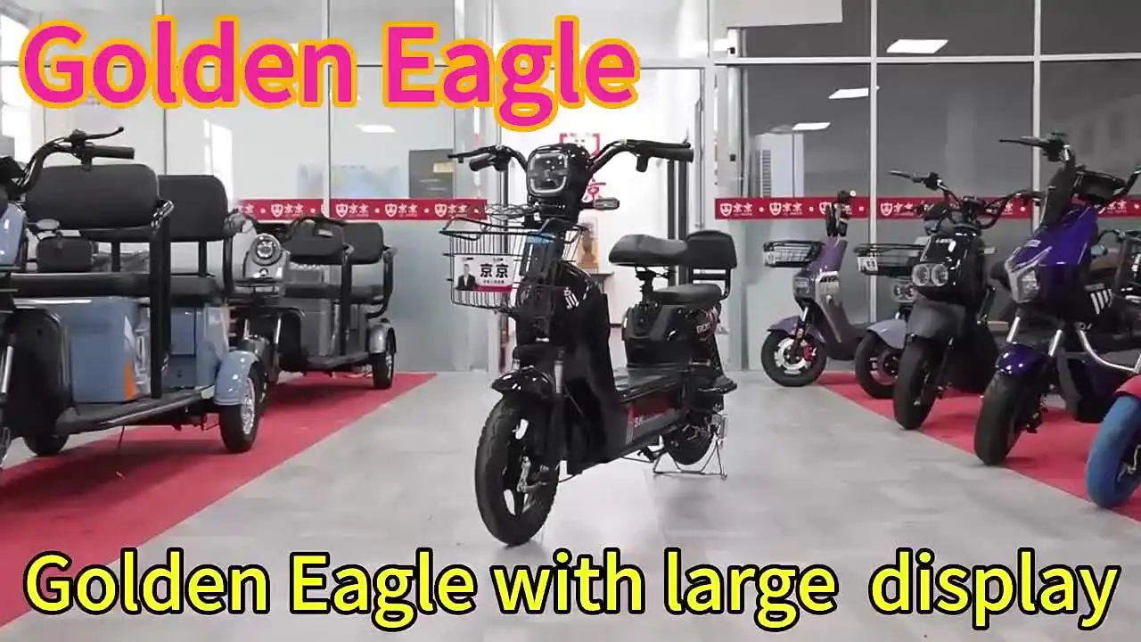 Classic Golden Eagle Electric Bicycle 350W48V12A Lead-acid Battery Popular  Electric City Bike for Adults - Main Image
