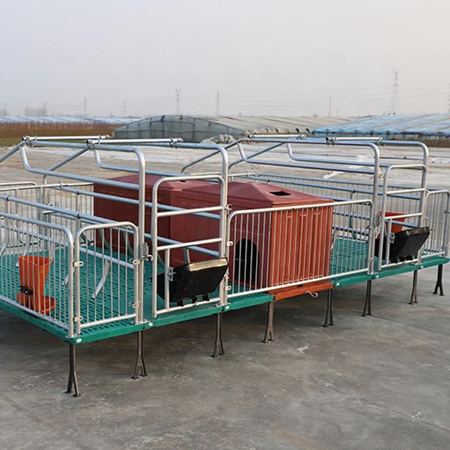 How To Make Pig Equipment Piggery Litter Box Pig Farmer Poultry Cage