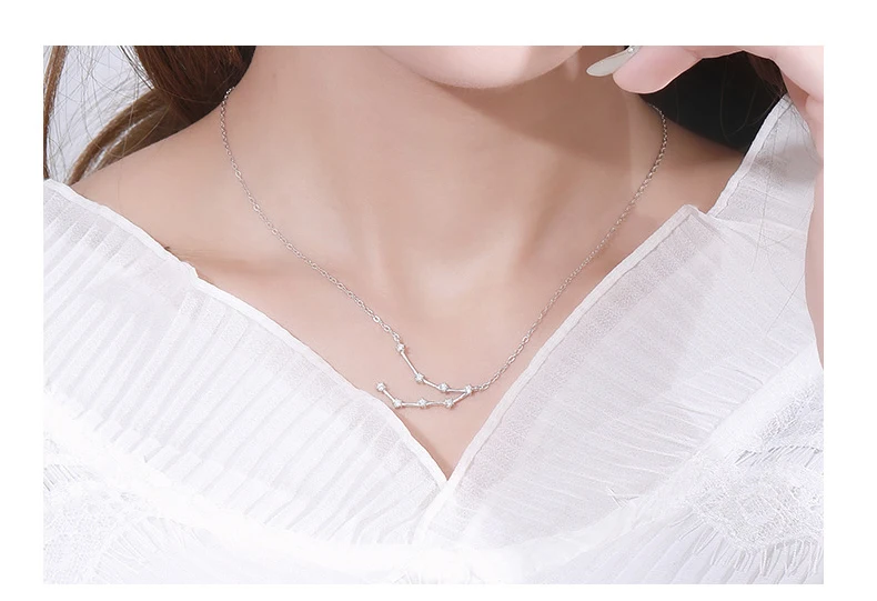 Horoscope Zodiac Necklace 925 Sterling Silver Pendant Jewelry for Lady ...