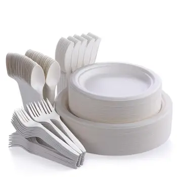 disposable dinnerware sets