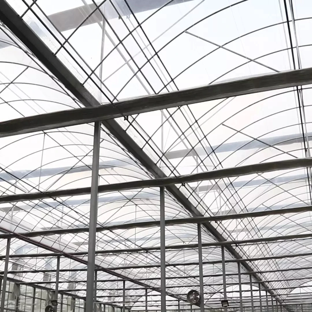 Multi Span Passive Solar Greenhouse Film Fastening Plastic Greenhouses