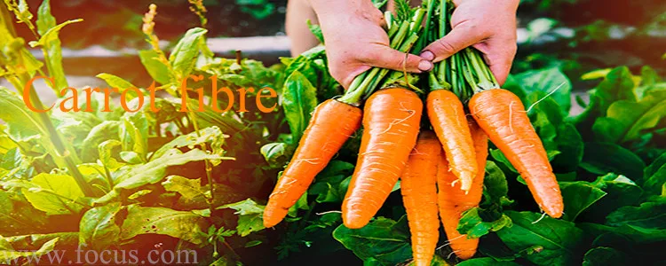 Carrot fibre.jpg