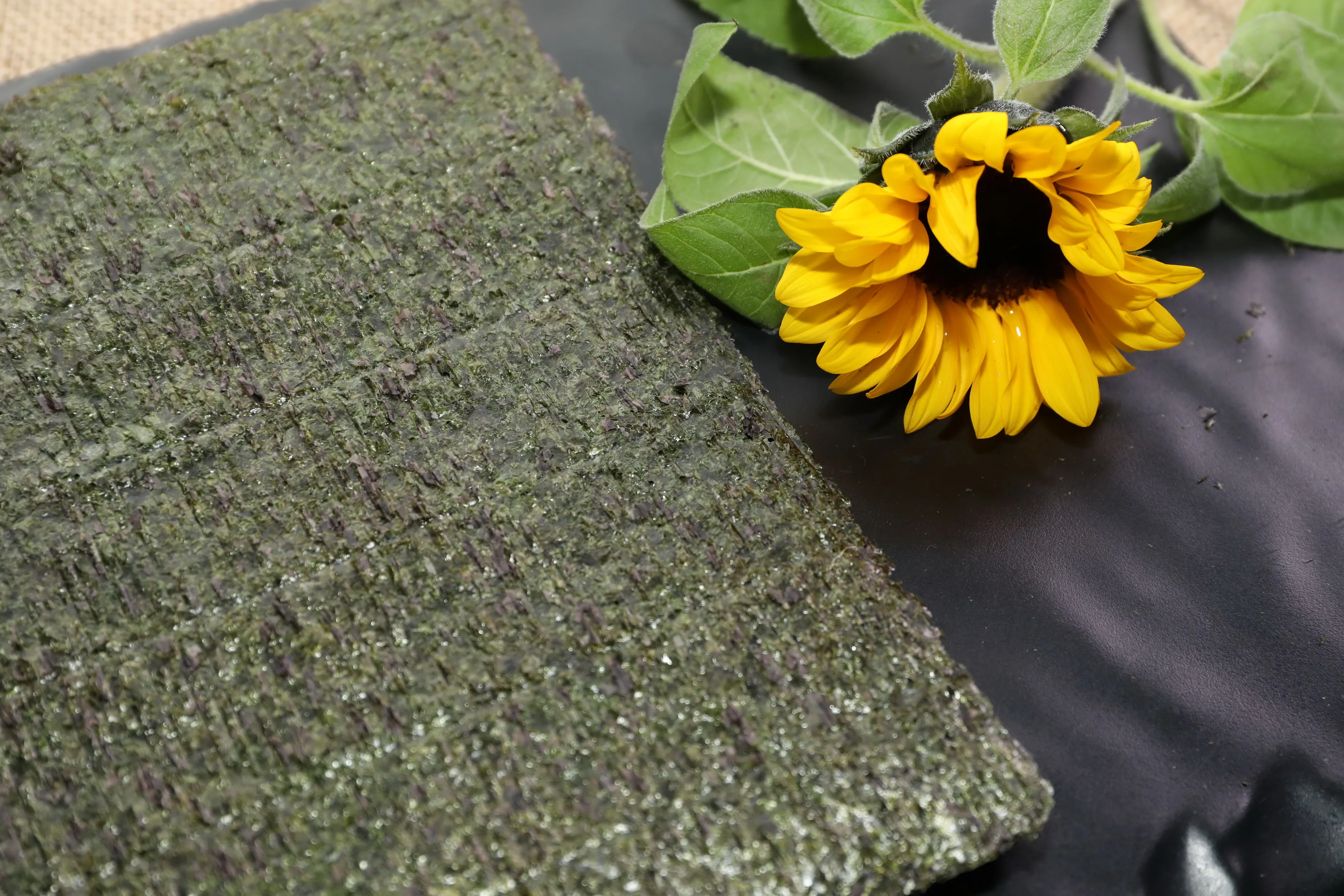 26g 10 sheets sea moss roasted seaweed nori kinchi seaweed dried