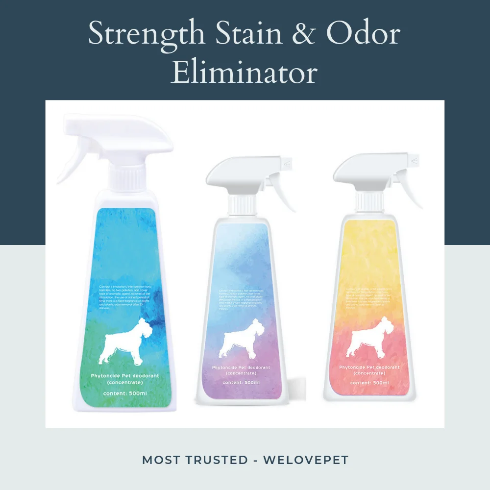 Professional Strength Stain & Odor Eliminator Anti Dog Cats Pet