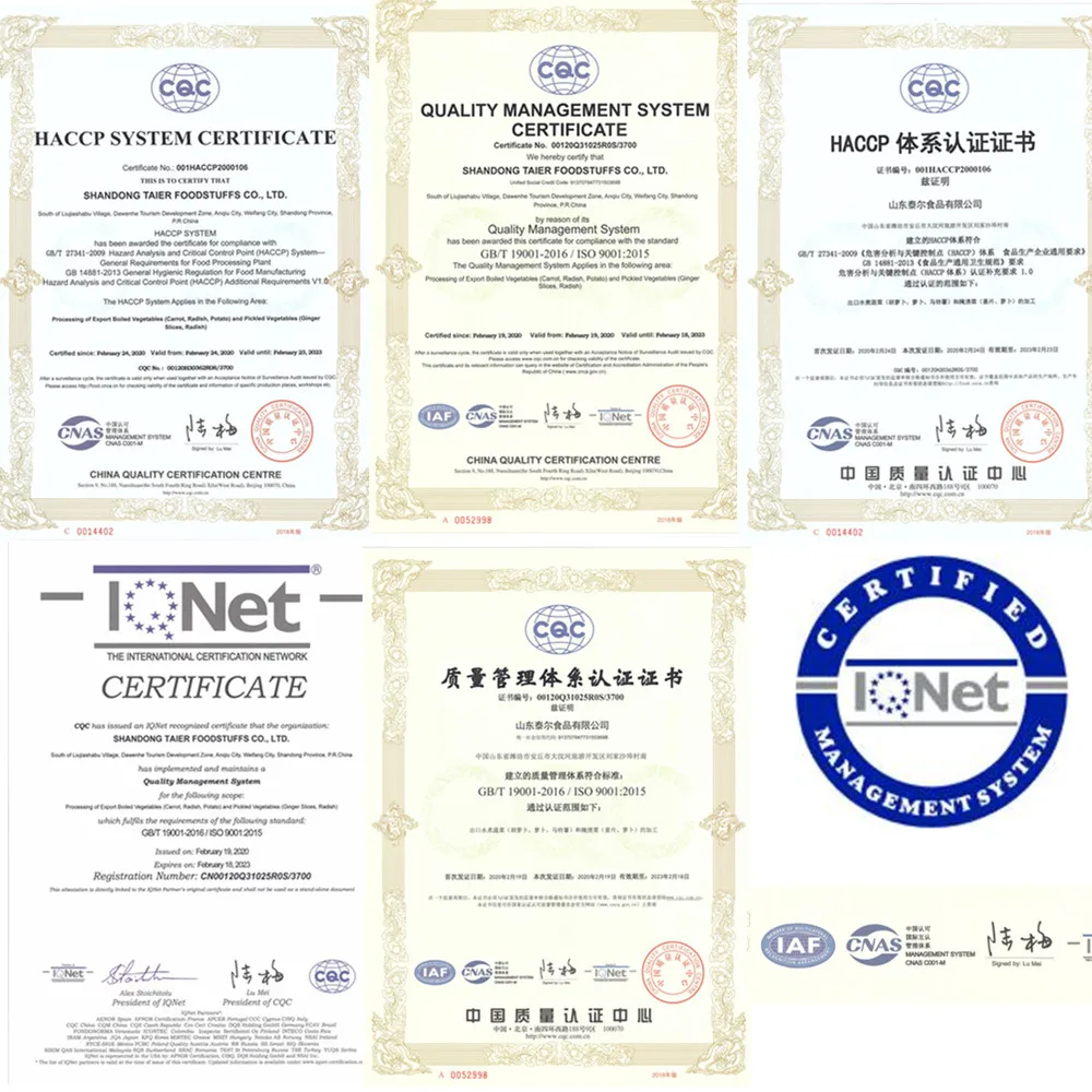 Sweet and Sour Japanese Style sushi daikon radish pickled