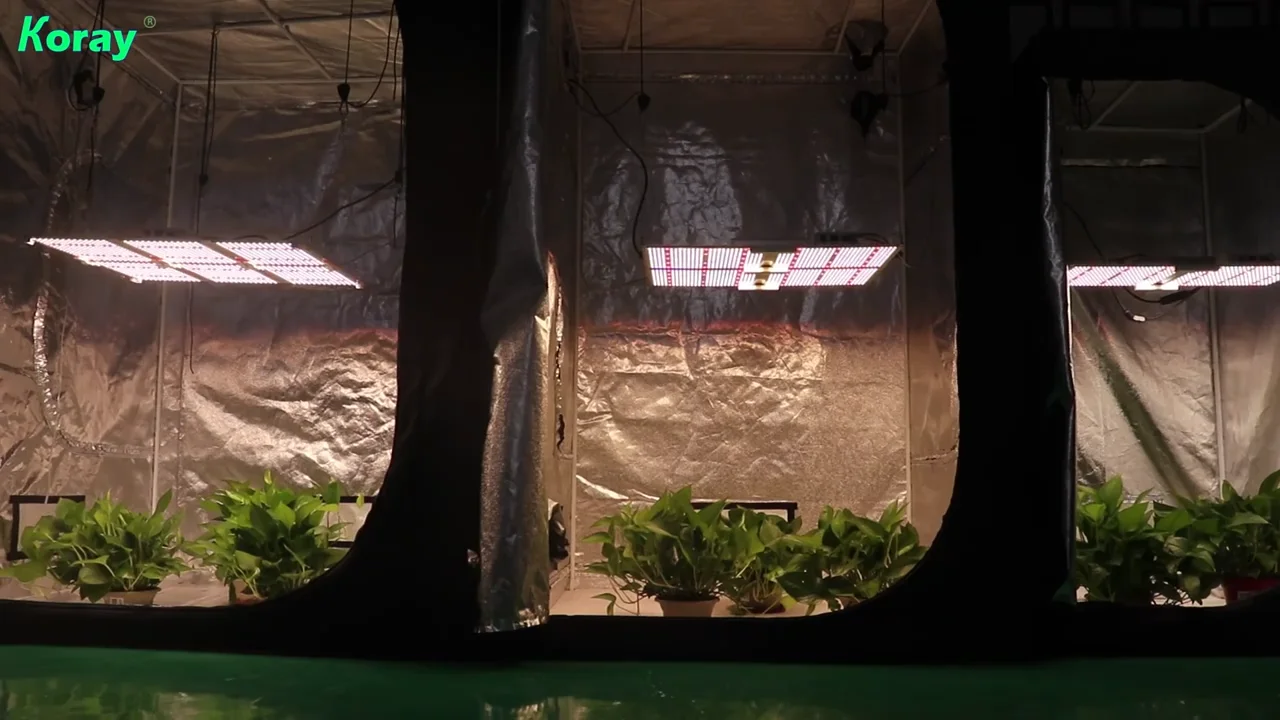 sf4000 samsung lm301h lm301b hydroponic vertical farms qb288