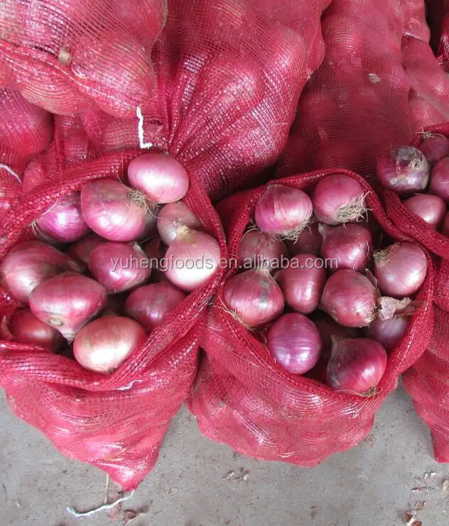 onion package 2.jpg