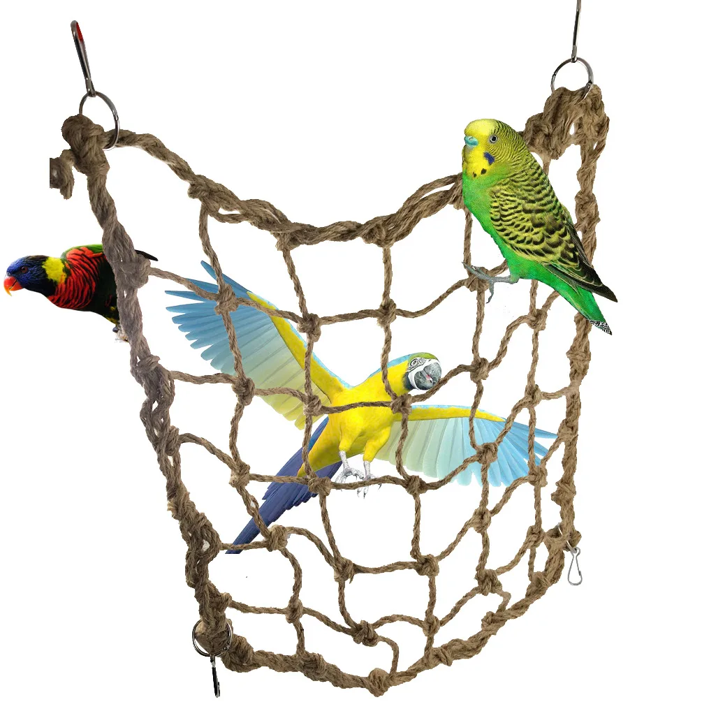 parrot climbing rope