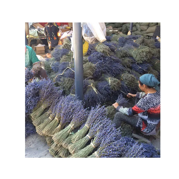 
Promotional Various Durable Using Bridesmaid Paper Flower Bouquet For Wedding 