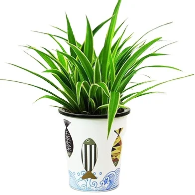 Venta al por mayor macetas de orquideas-Compre online los mejores