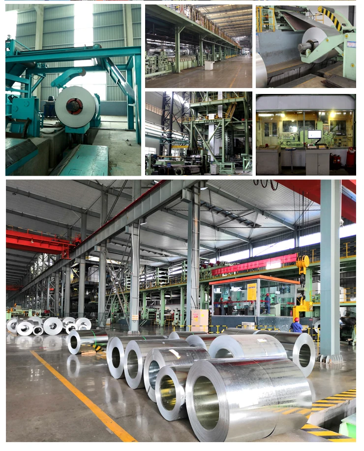 Supply Zinc Coated Dx51d Z100 Galvanized Steel Roll,Hot Dipped