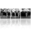 Black and White Ballet Wall Decor Beautiful Ballerinas Dancing with White Tutu Poster Picture Modern Girl Room Decoration