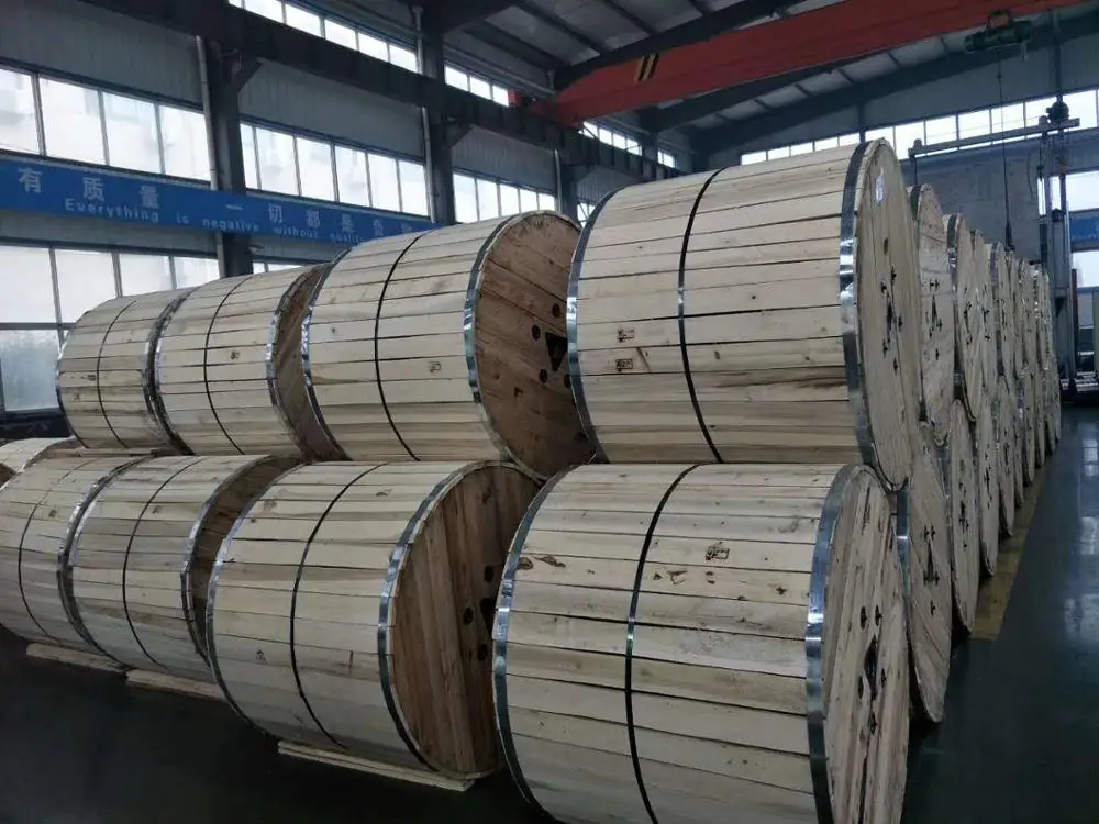 Hot sale factory price 2*2AWG +2AWG Copper conductor Armoured concentric cable