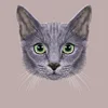 computer self-adhesive Art Painting kitty diamond painting art TXKITTY-12