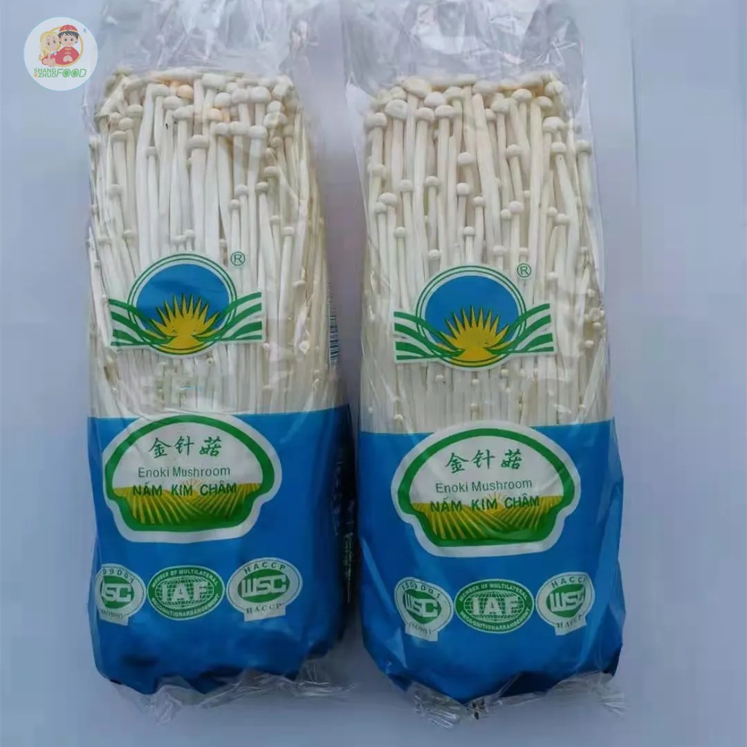 top grade fresh enoki mushroom/ needle mushroom in bag wholesale