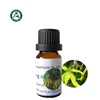 Factory Supply Bulk Pure And Organic Ylang-Ylang Essential Oil