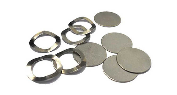 Wave Spring With Spacer.jpg