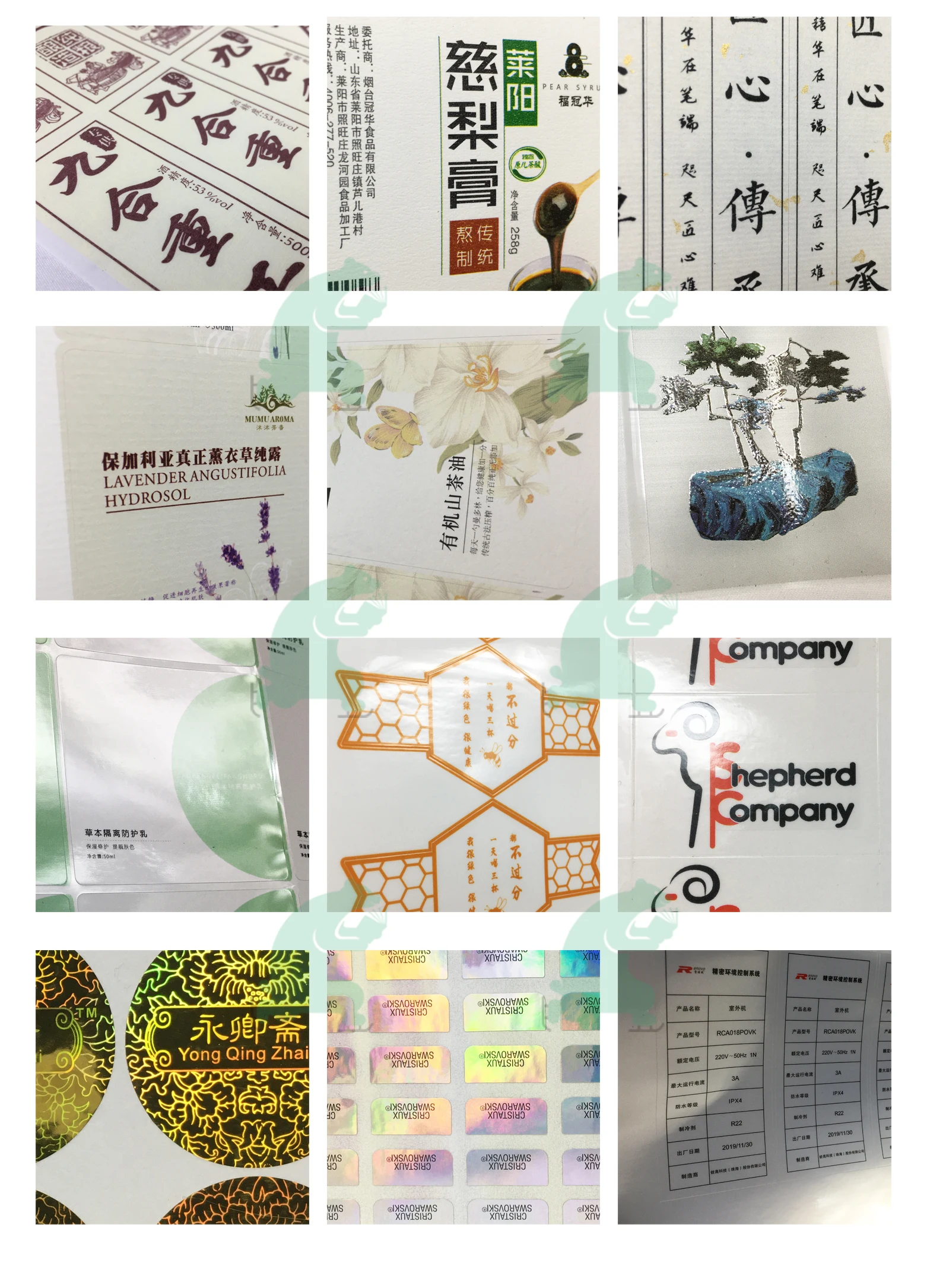 Skatingbear Product 02.jpg