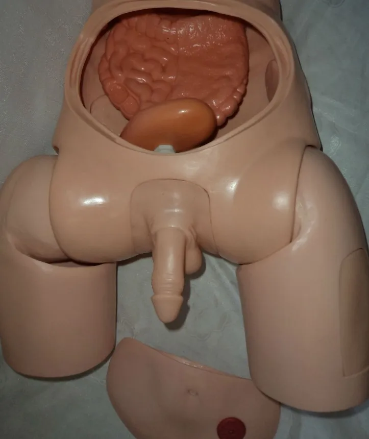 男人的大玩具尿道图片
