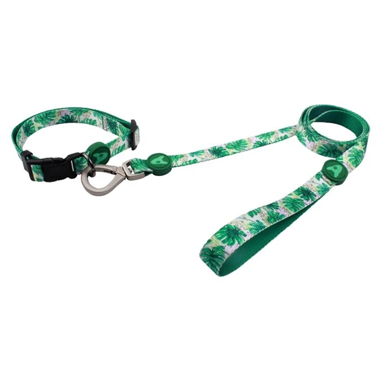 Dog collar leashes-21