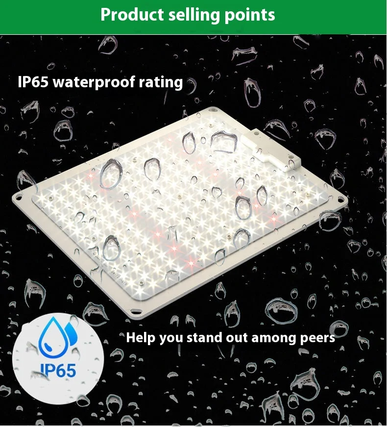 100WMain Image of the Details Page_04