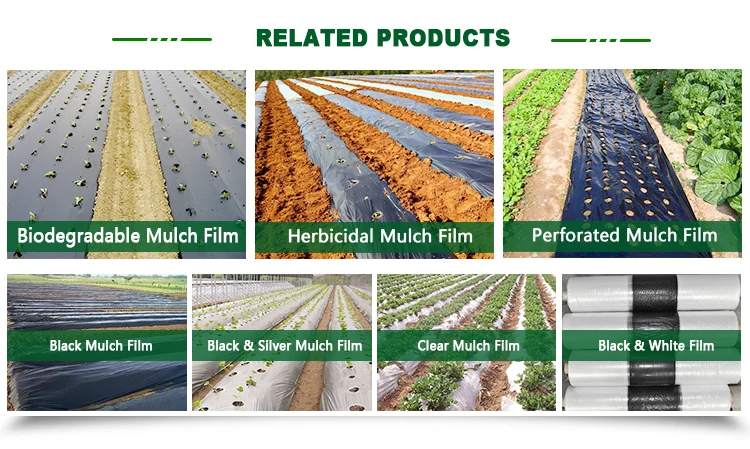 Profession Increase Production Black And White Mulch Film