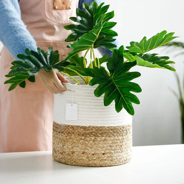Small Cotton Rope Plant Basket Water Hyacinth Basket Woven Planter