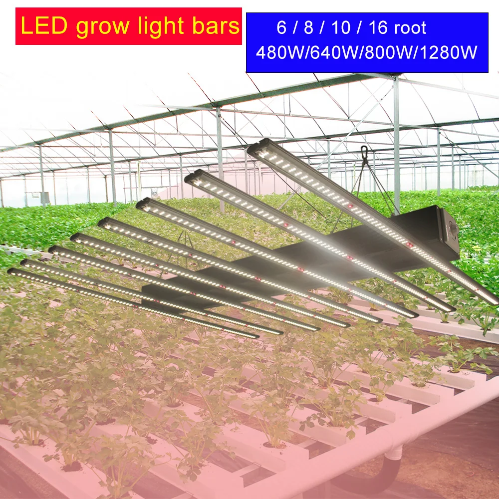 800w Spyder Led Grow Light Kit Commercial Lm301b Full Spectrum High