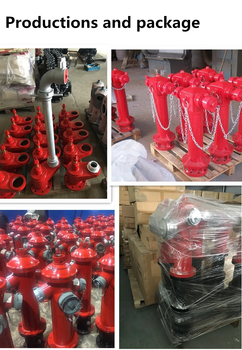 2 Ways Fire Hydrant With Valves Bs336 Pillar Type Fire Hydrants Buy Fire Hydrant,Fire Hydrants