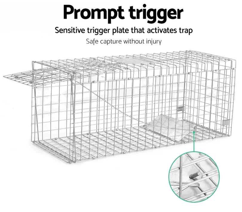 Animal Traps 4.png