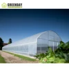 GREENDAY Manufacture Offer Directly PE Film Multi Span Agricultural Tunnel Greenhouse
