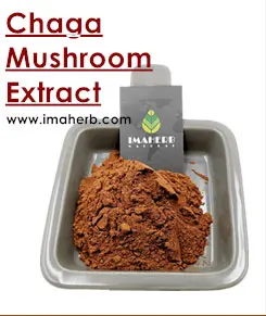mushroom_02.jpg