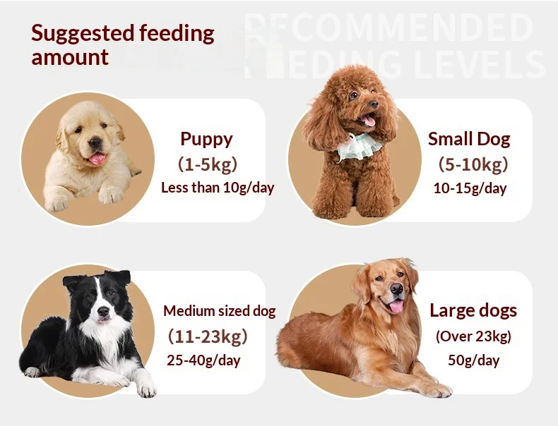 Dog Snacks Duck Sweet Potato Molar Pet Puppy Dental Cleaning Nutrition Training Rewards Made in Shandong supplier