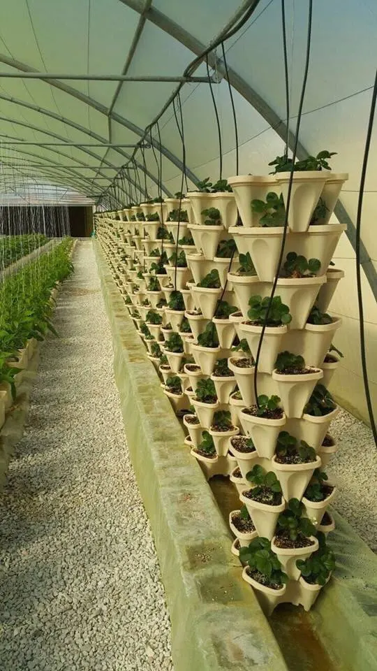 Diy Tier Planters Pot Stackable Irrigation System Colorful Diy Stacking Planter Buy Diy