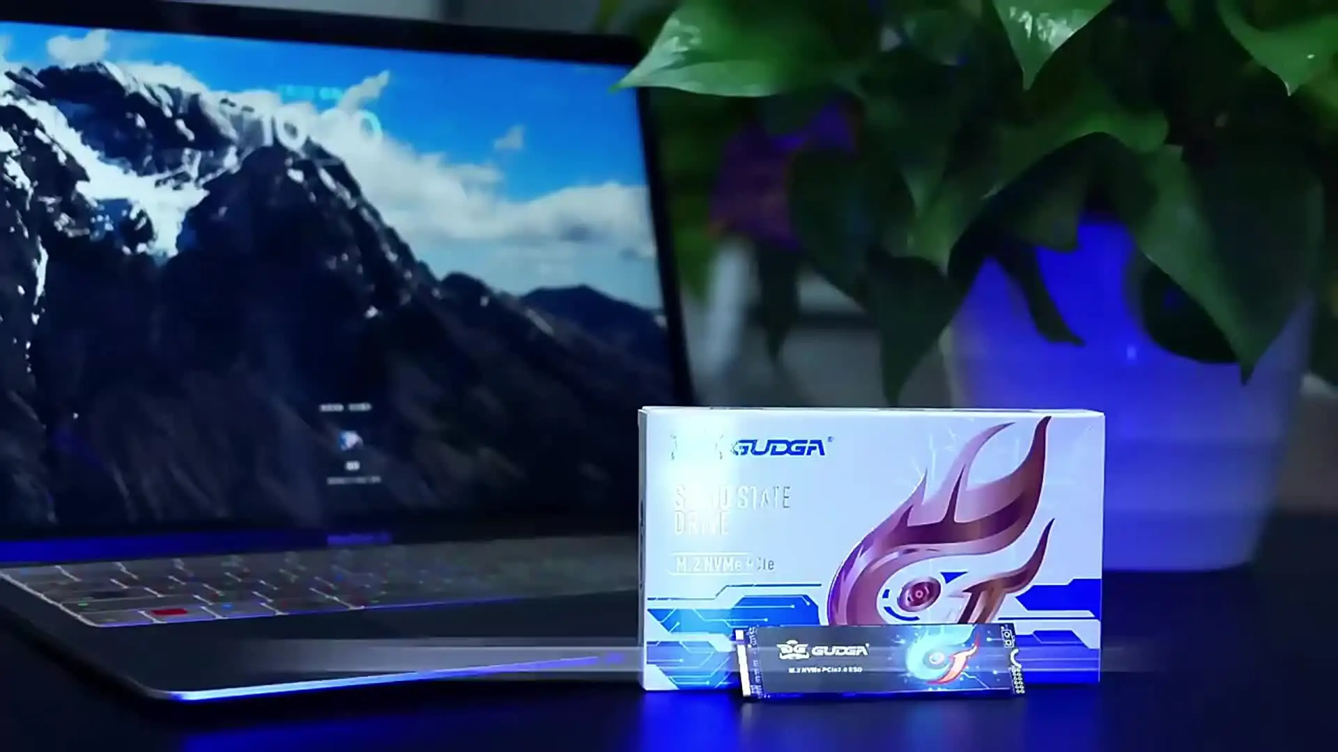 이미지 미리보기