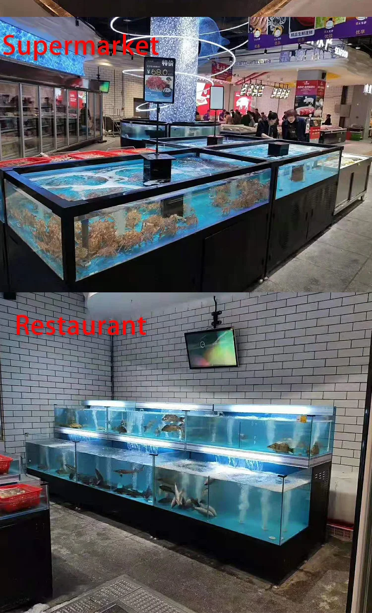 Custommade King Crab Lobster Fish Farming Tank Aquarium