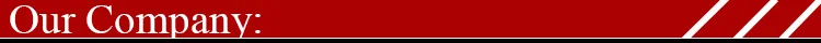 Our Company.jpg
