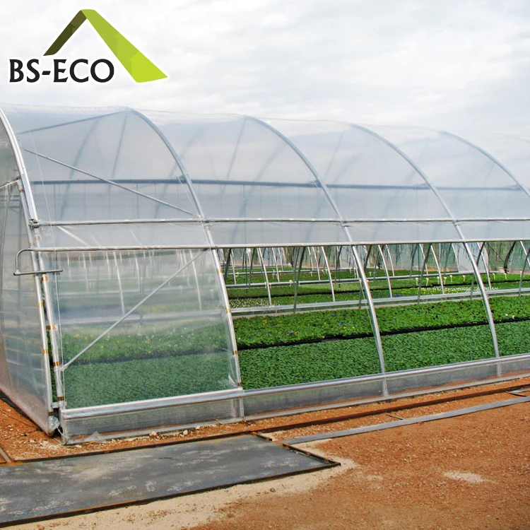 Single Span Greenhouse 15