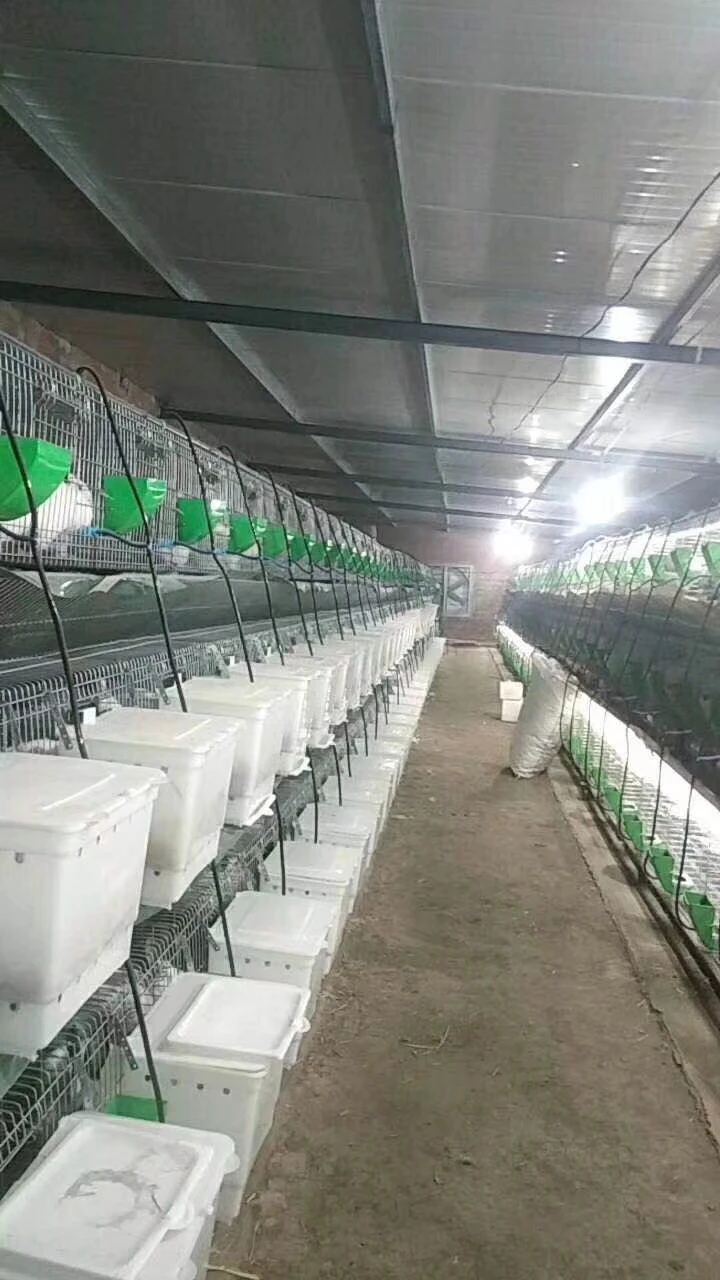 Farming Equipment Nest Box Breeder Rabbit For Rabbit Farming Buy Rabbit Nest Box,Rabbit Cage