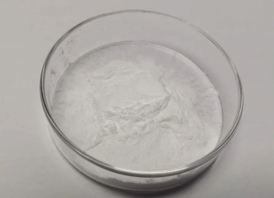 paste-pic-dp_uuid_lqpfu