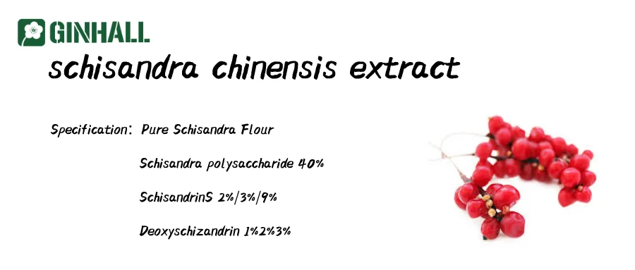 Organic schisandra chinensis/wu wei zi Extract 0.5%~2% Schisandrin B powder