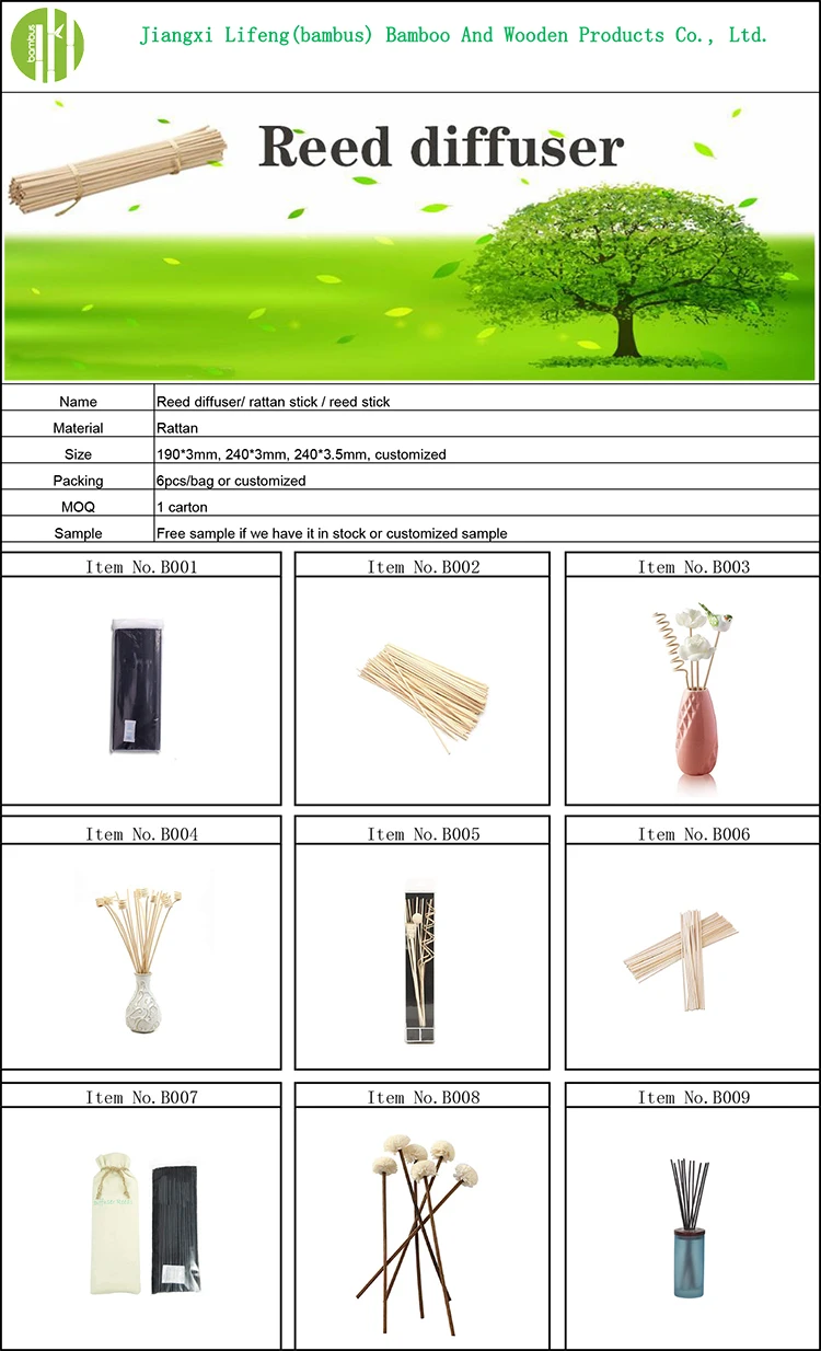 Eco 24cm decorative rattan sticks flower diffuser for home